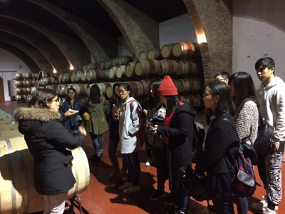 5_Bodegas Raimat_03
